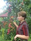 Побідаш Ірина, користувач 1ua 