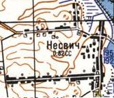 Топографічна карта Несвічі